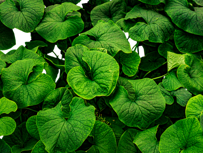 At inSona, ensuring transparency and avoiding greenwashing practices is essential for maintaining credibility in our sustainability efforts