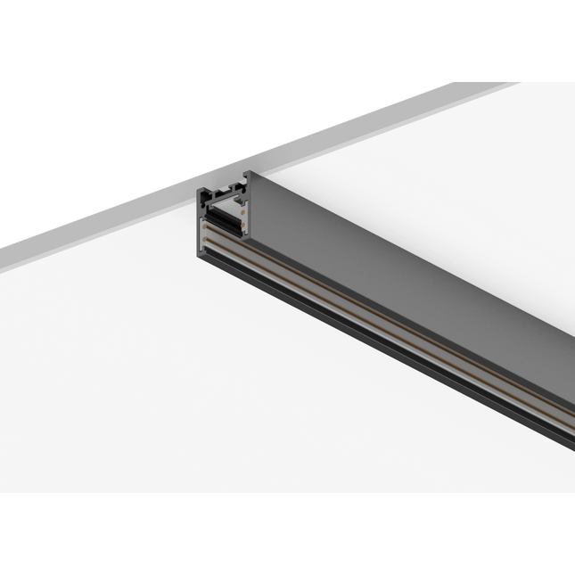 TINT SM- Track Rails 48v track surface 1M